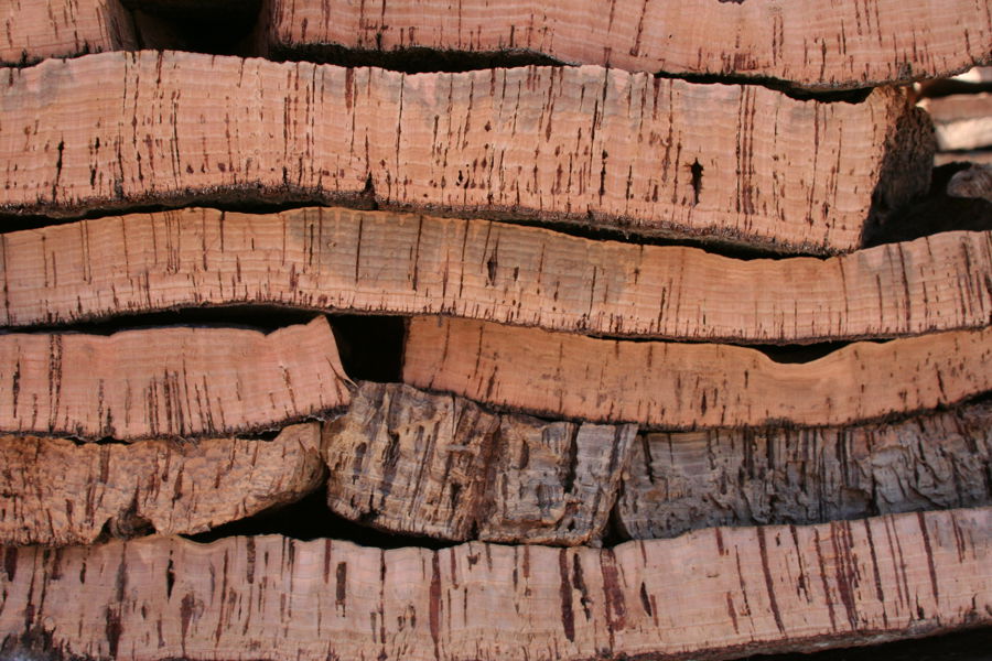 Rotating Timberman logo