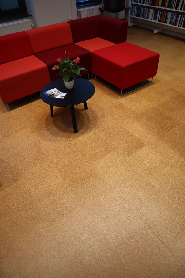 Bibliotek med Wicanders Naturkork