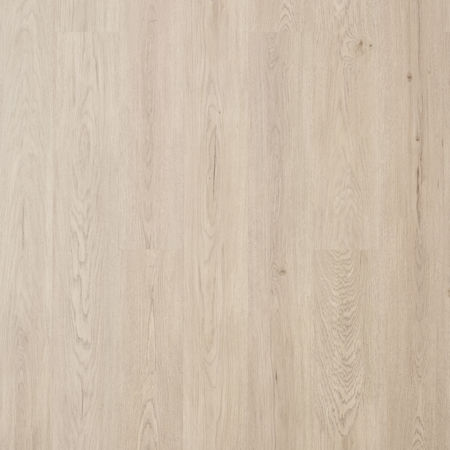Argent Oak, Wood Natural XL ⏐ 80003695