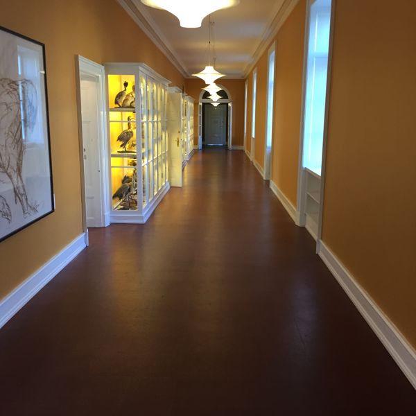 Gang med Wicanders Naturkork Double side